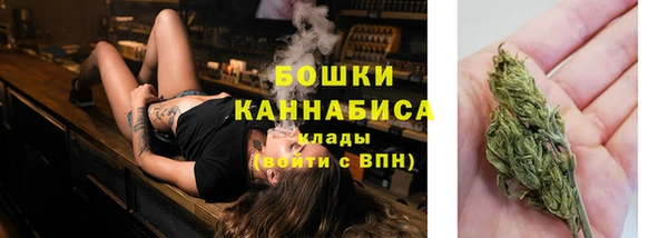 индика Беломорск