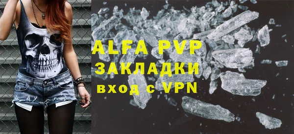 индика Беломорск