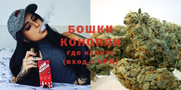 индика Беломорск