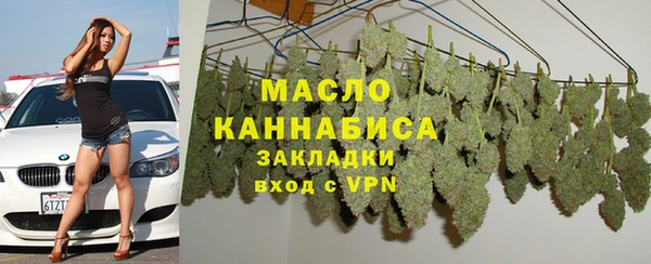 индика Беломорск