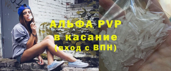 индика Беломорск