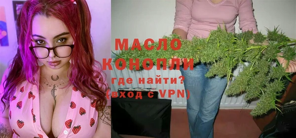 индика Беломорск