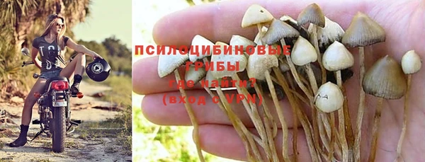 хмурый Белоозёрский