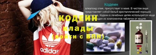 индика Беломорск