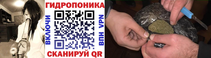 Бошки Шишки THC 21% Трёхгорный